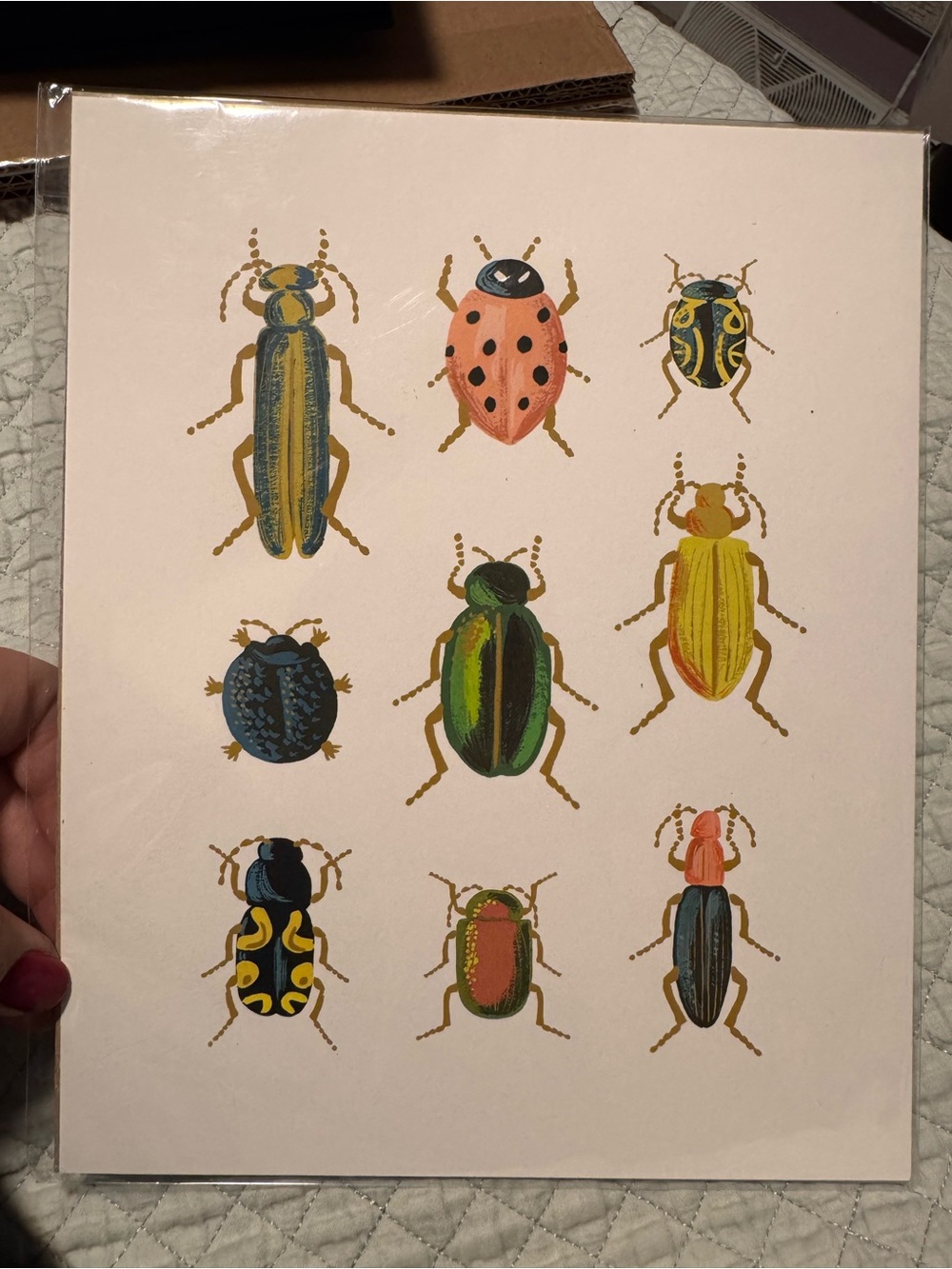NEW Rifle Paper Co. Botanical Beetle Curio Art Print